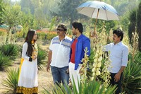 Rose Garden Movie Photos
